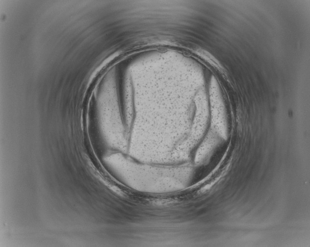 X0000073910790200609011743