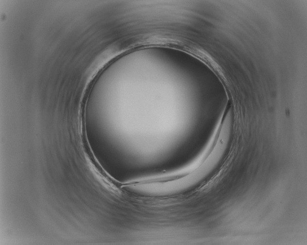 X0000073910795200609011743