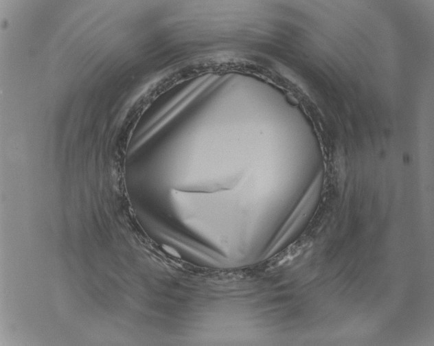 X0000073910823200609011742