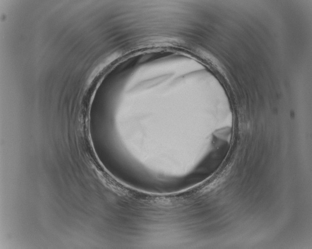 X0000073910827200609011742