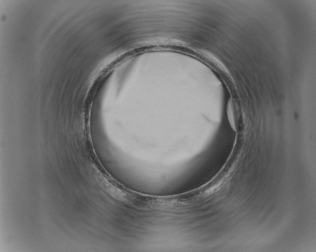 X0000073910831200609011742