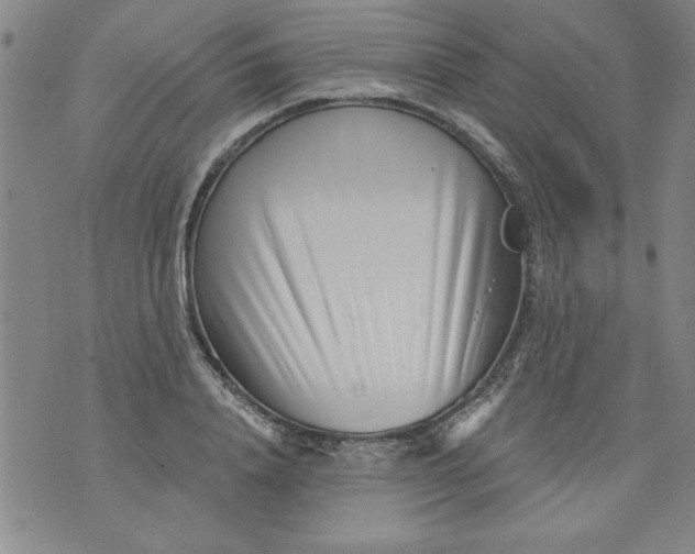 X0000073910840200609011742