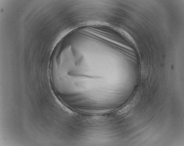 X0000073910847200609011742
