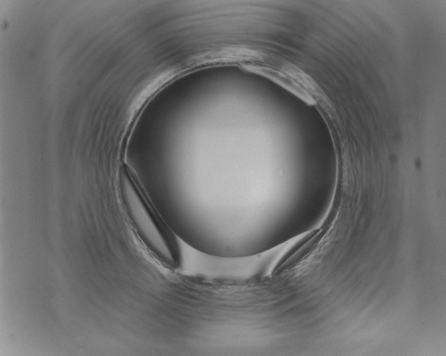 X0000073910850200609011742