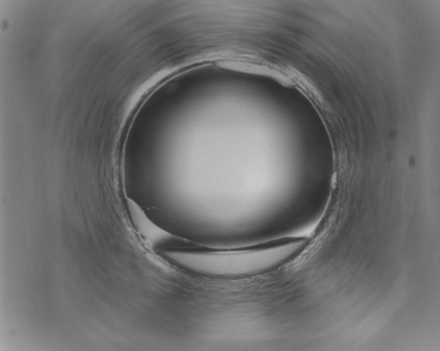 X0000073910854200609011742