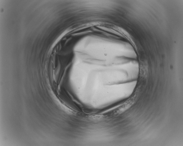 X0000073910859200609011742