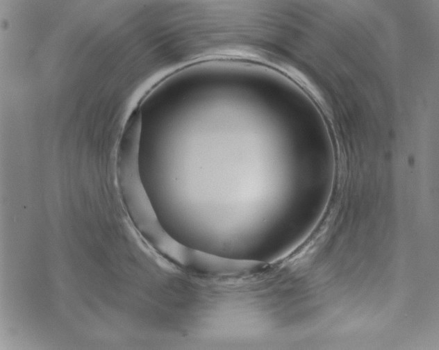X0000073910862200609011742