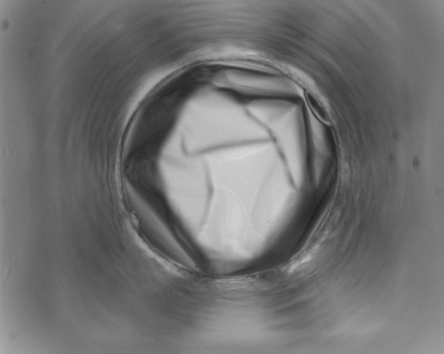 X0000073910863200609011742