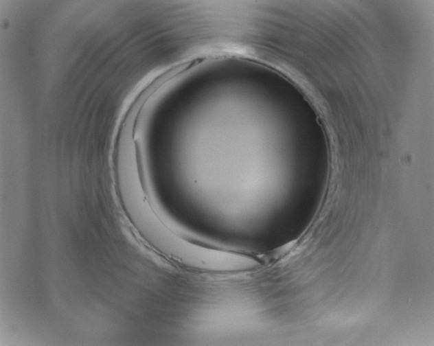X0000073910864200609011742
