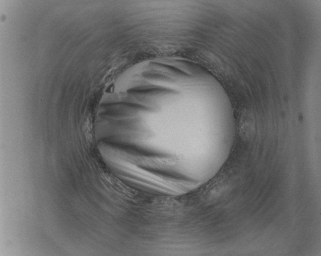 X0000073910866200609011741