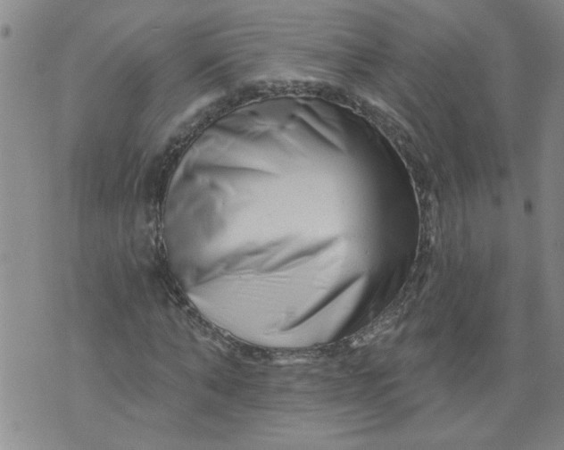 X0000073910870200609011741