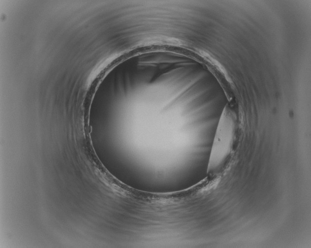 X0000073910877200609011741