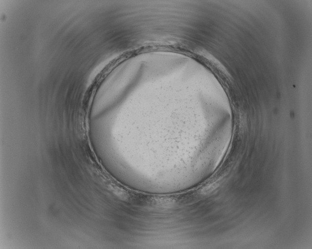 X0000073910878200609011741