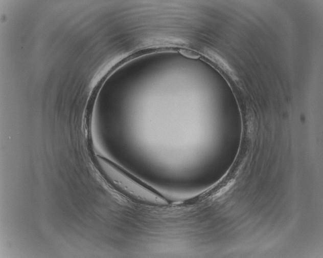 X0000073910885200609011741