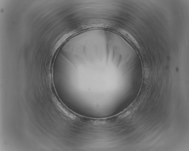 X0000073910890200609011741