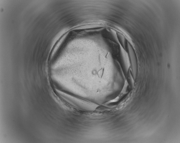 X0000073910907200609011741