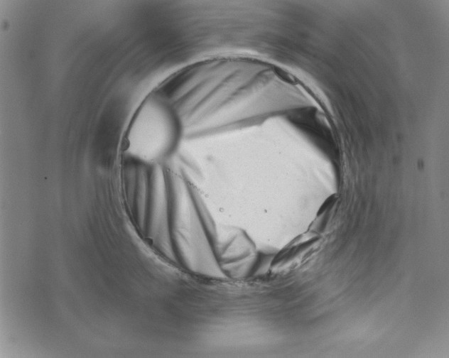 X0000073910911200609011741