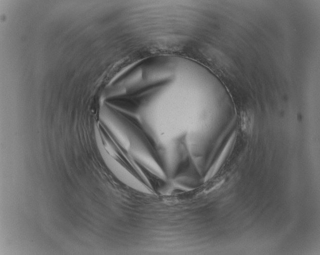 X0000073910915200609011740
