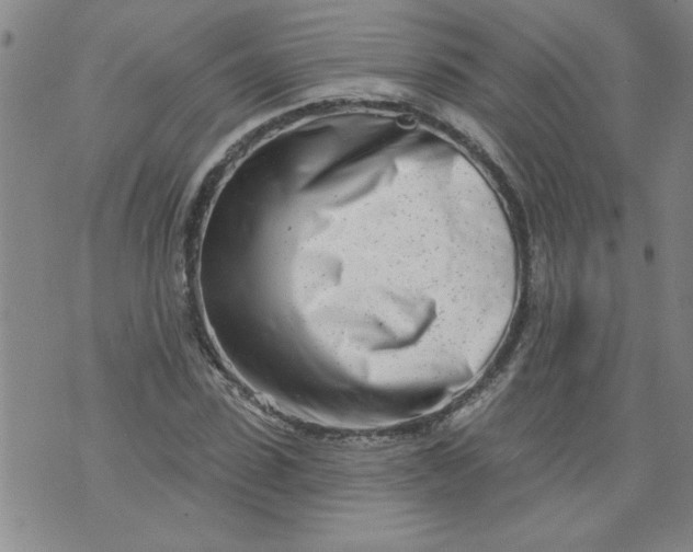 X0000073910923200609011740