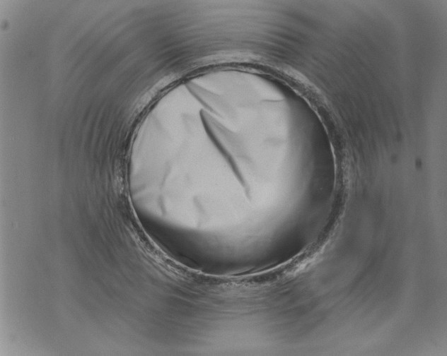 X0000073910929200609011740