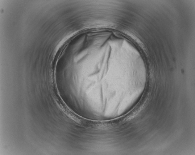 X0000073910933200609011740
