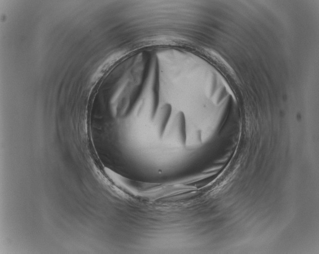X0000073910938200609011740