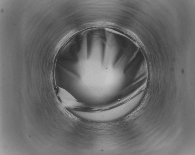 X0000073910946200609011740