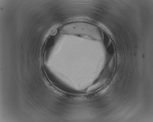 X0000073910994200609011739