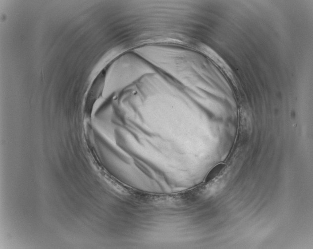 X0000073911002200609011739