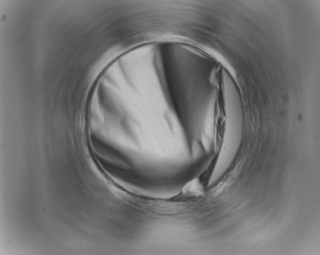 X0000073911007200609011739