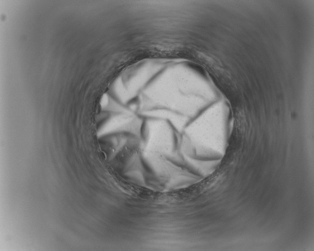 X0000073911009200609011738