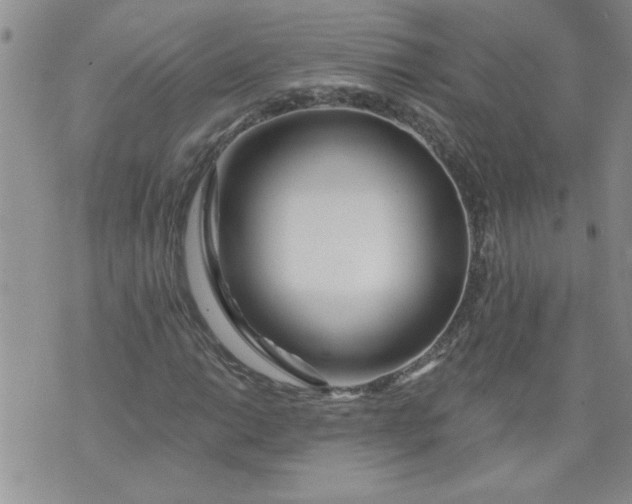 X0000073911014200609011738