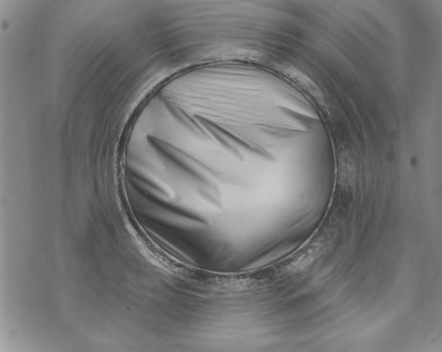 X0000073911039200609011739