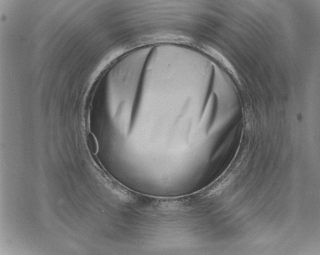 X0000073911043200609011739
