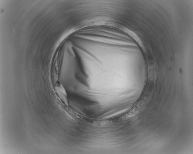 X0000073911051200609011739