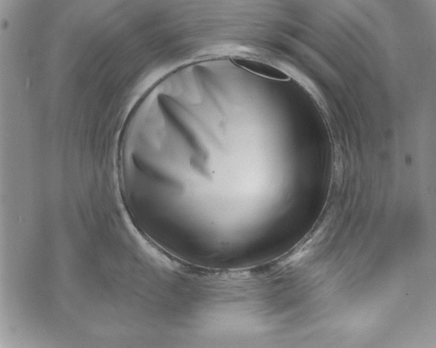 X0000073911055200609011739