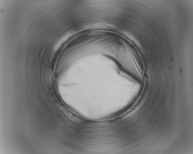 X0000073911067200609011738