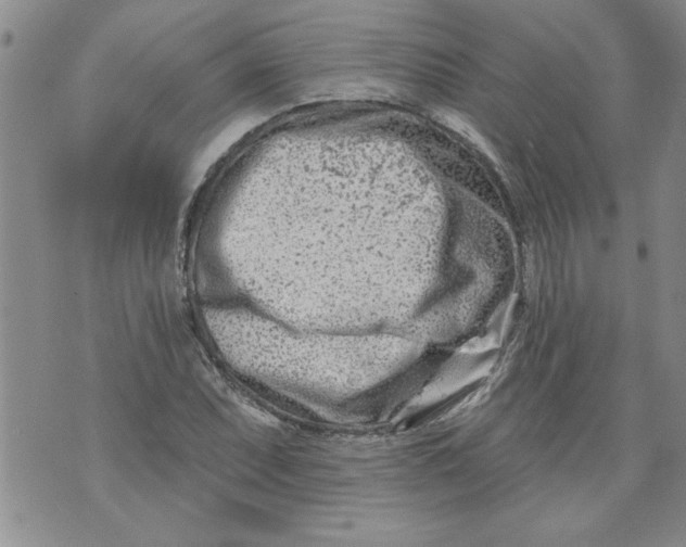 X0000073911071200609011738