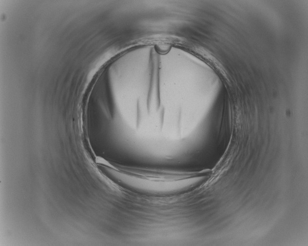 X0000073911083200609011738