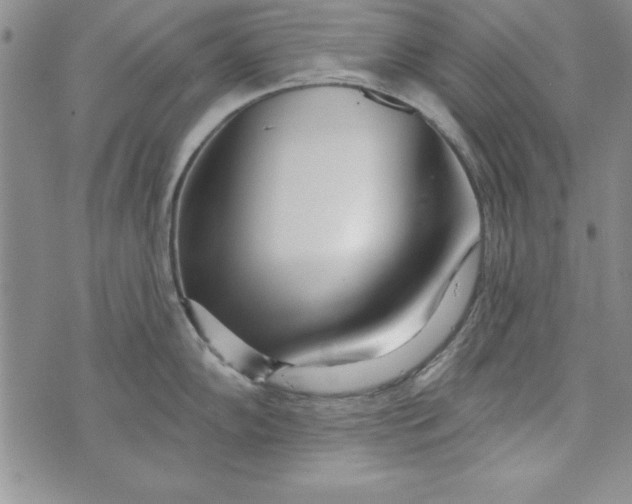 X0000073911102200609011738