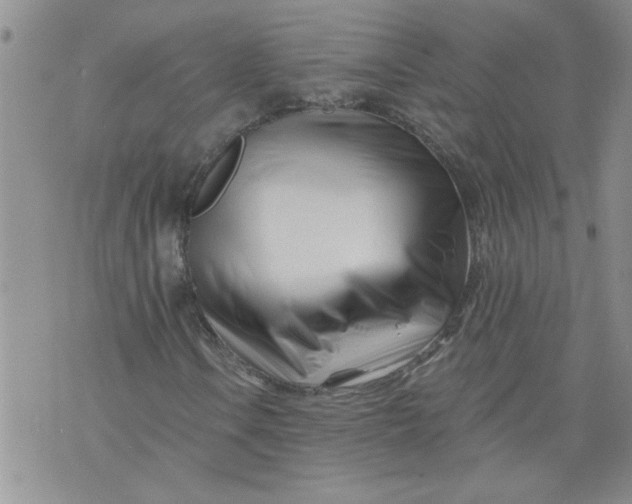 X0000073911106200609011737
