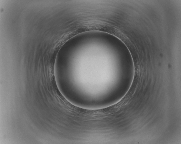 X0000073911108200609011737