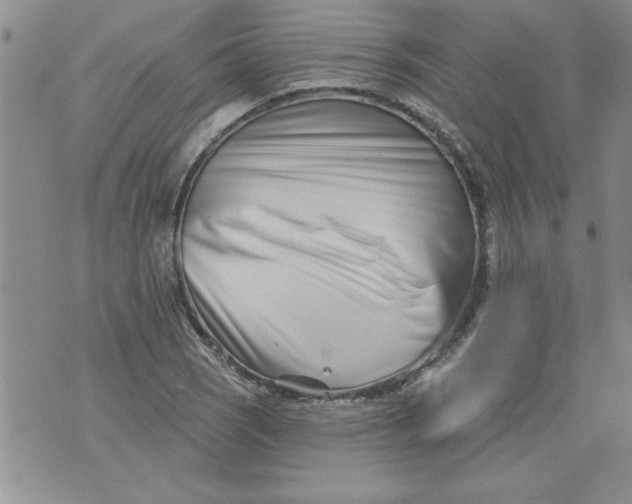 X0000073911121200609011737