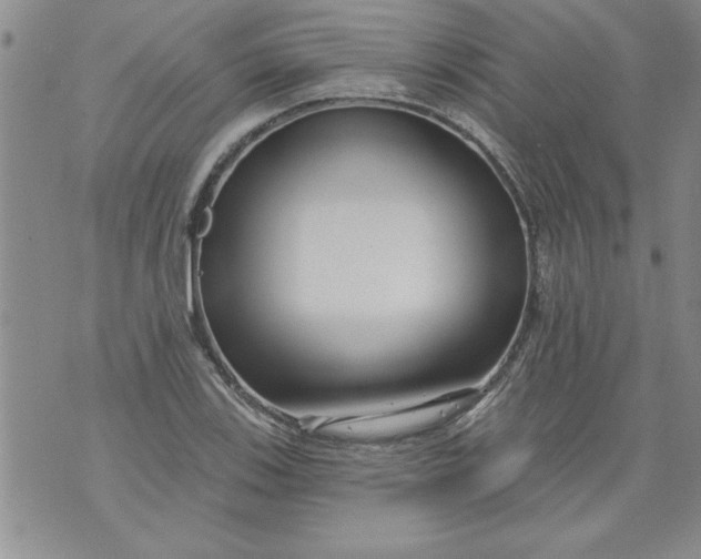 X0000073911123200609011737
