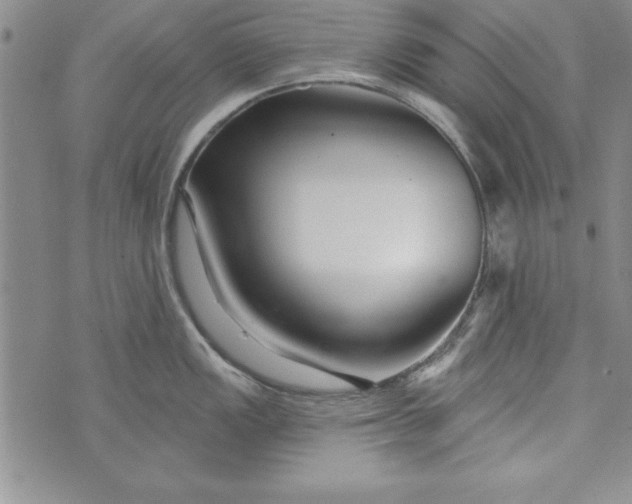 X0000073911149200609011737