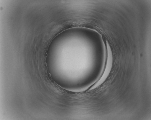 X0000073911153200609011737