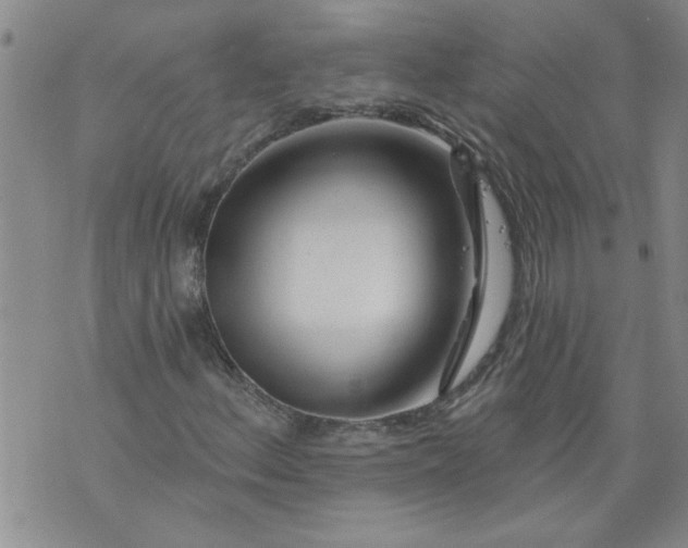 X0000073911156200609011737