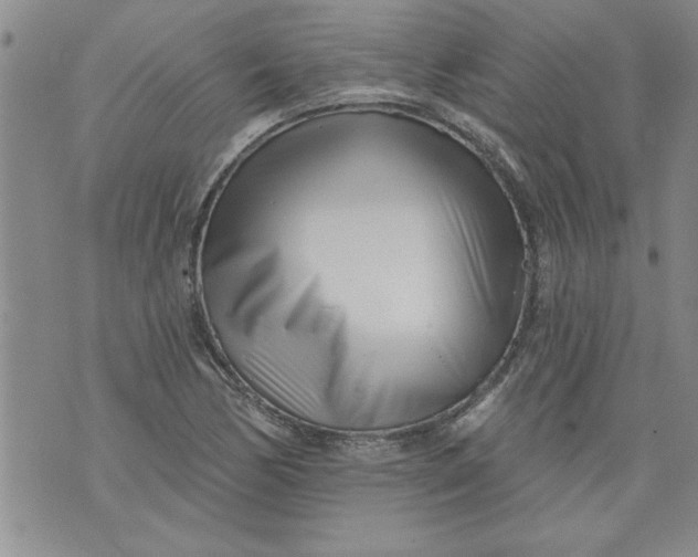 X0000073911170200609011736