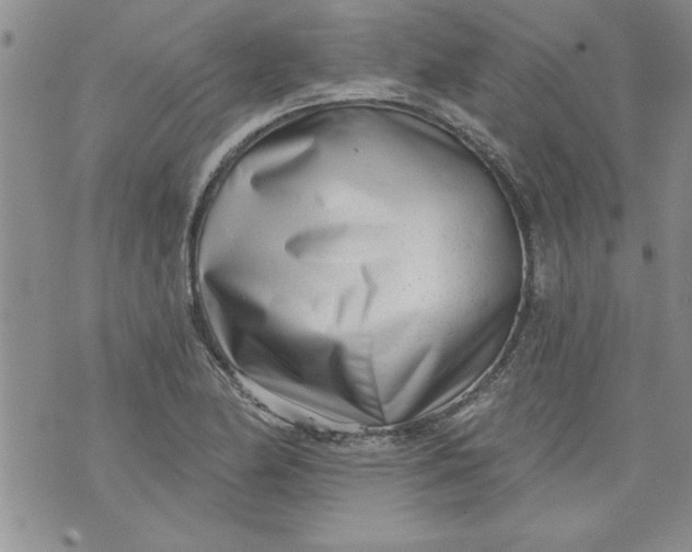 X0000073911174200609011736