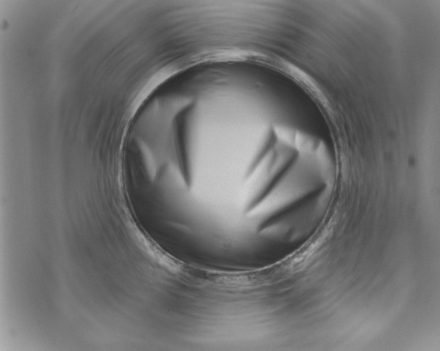 X0000073911194200609011736